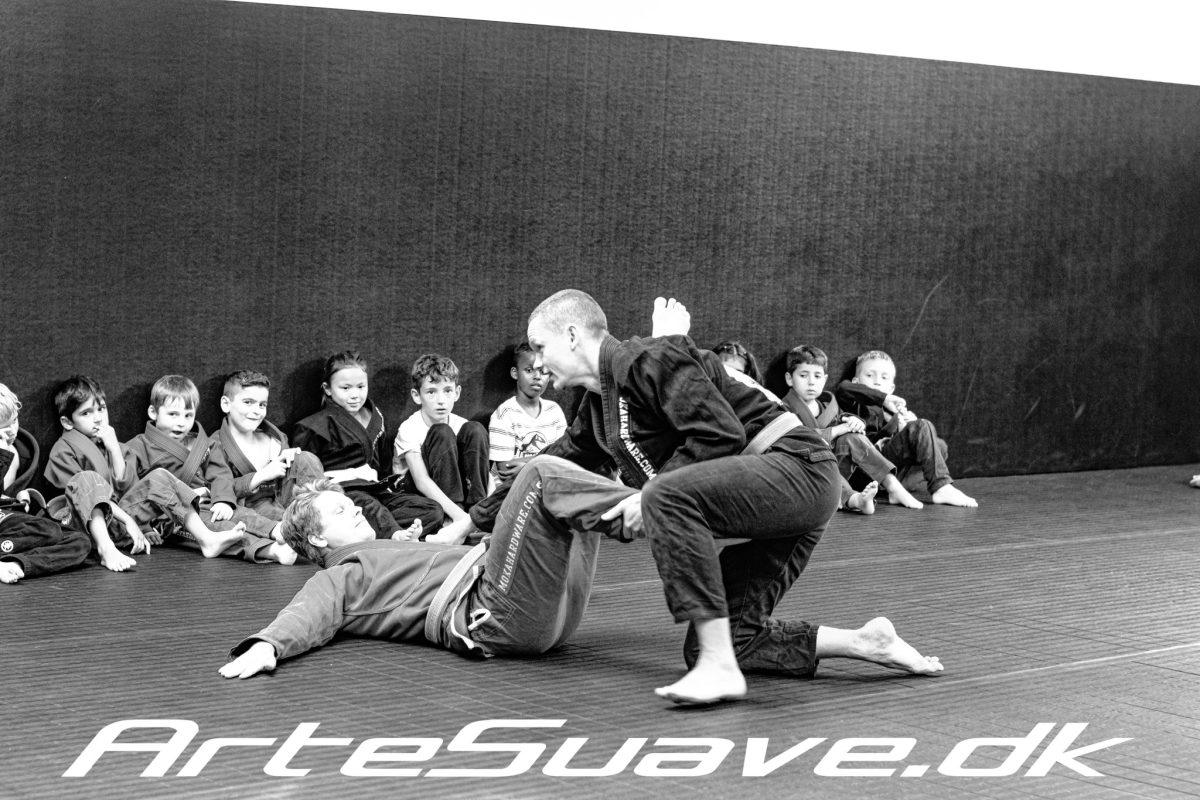 Arte Suave søger ny BJJ Instruktør for børneholdet 5-8 år