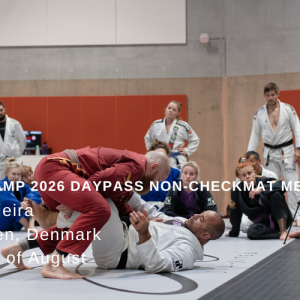 Daypass none checkmat